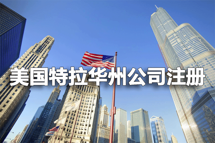 注冊美國特拉華州公司重點分析